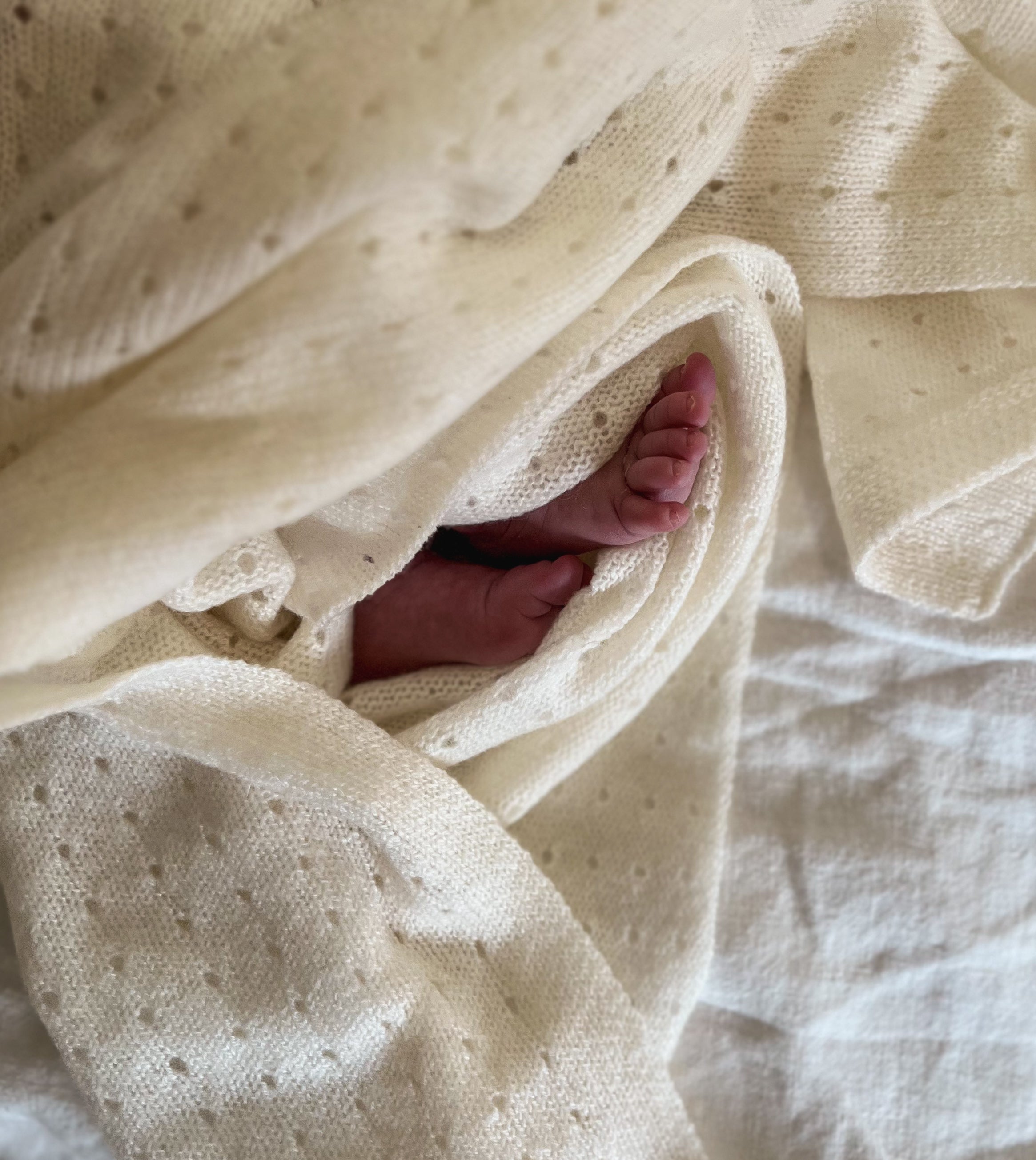 Cashmere Pointelle Blanket Ivory